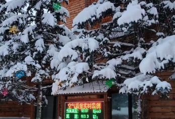 亚布力起止雪乡一日游没有自费没有购物【雪地摩托，学龙号冲坡，雪地转转，雪上飞碟，冰雪画廊，中国雪乡，棒槌山栈道】