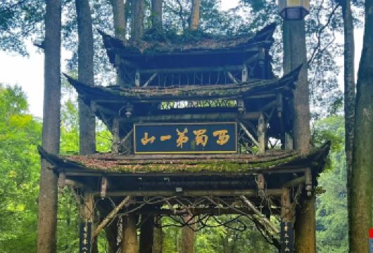 都江堰+青城山一日游‖可选【含门票+川剧+导游+车+餐】【携程跟团游‖纯玩无购物】