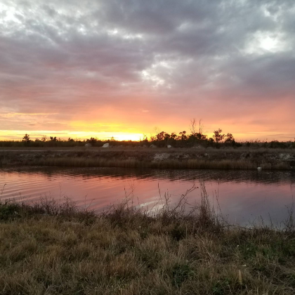 美国 迈阿密-小哈瓦那徒步一日游（可定制周边游）酒店接送