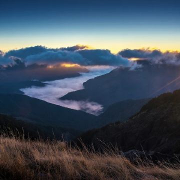 台中往返 :阿里山一日游 私人包车10H|可定制行程