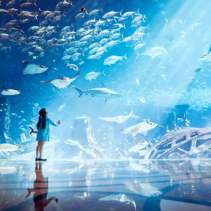 迪拜失落的空间水族馆+水世界冒险乐园一日游