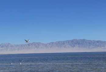 青海察尔汗盐湖+大柴旦翡翠湖一日游【包车游】【拒绝早起/精选线路/深度体验/创新玩法/消费透明】