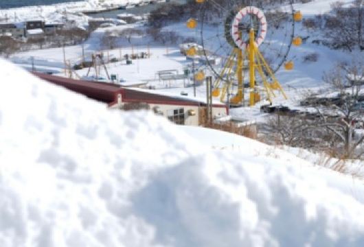 日本北海道-札幌往返-美瑛-富良野-旭川-红叶/冬季必打卡【专业行程定制，精选热门景点，高效游玩不走回头路，贴心服务保障，轻松】