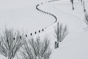 日本北海道旭川动物园｜白须瀑布｜札幌往返｜中文专车【尊享一对一高端行程定制，多日豪华包车专属礼遇，专业旅行顾问24小时恭候垂询。】