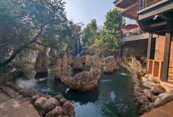 清迈大象营+天使瀑布咖啡+清迈老虎王国一日游《中文专车服务》【和大象老虎近距离接触，打卡清迈网红咖啡馆】