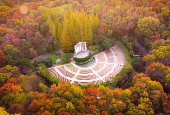 18人小团丨南京总统府+中山陵景区+明孝陵+美龄宫+音乐台【[金陵精选]南京总统府、中山陵、美龄宫寻民国故事，穿越浪漫梧桐大道，明孝陵深度漫游！】