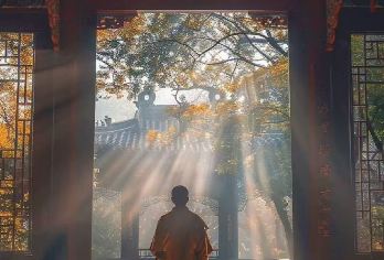 河南洛阳少林寺+白马寺一日游【纯玩无购物|导游讲解|上门接】【优秀持证导游全程陪同，深度讲解，景区内自由畅玩，无任何形式购物；】