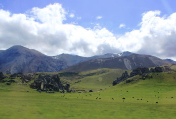 新西兰基督城-福克斯冰川+马松森湖多日【中文专车-惬意舒适】【中文专车出行，行程自己定义，无需等待，专属贴心服务，尽享惬意旅程】