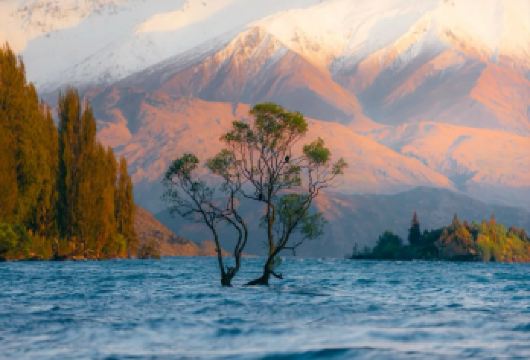 皇后镇出发 】阿斯帕林山秘境 + 瓦纳卡湖·《指环王》取景地【中文司导，灵活自由，深入经典与秘境，省去自驾疲劳与规划烦恼】