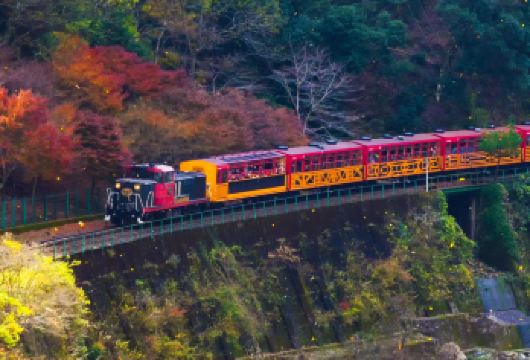 京都奈良一日游|岚山小火车+奈良公园+伏见稻荷+大阪出发【英文&中文导游：热情友好，经验丰富，为您提供专业细致的导览服务。】