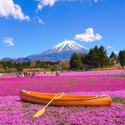 东京富士山,河口湖,山中湖一日游(富士山双湖慢旅行)