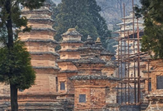 少林寺+三皇寨一日游【纯玩团丨含耳麦丨优秀导游讲解】【1.游览禅宗祖庭[少林寺]登[三皇寨]，领略山岳自然风光】