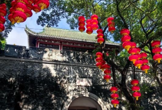 半日游+广州白云山/陈家祠/沙面/永庆坊/珠江夜游+上门接送【私家旅行：一单一团，不拼客，专属旅行、品质服务：小车上门接送，专职司机护航】