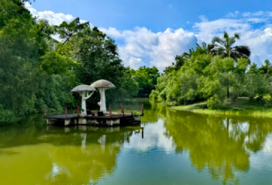 【私家团】上门接送/纯玩+江门自力村碉楼群+立园1天游R2【私家旅行：一单一团，不拼客，品质服务，专属旅行，重本含门票，车上门接送，专职司机护航】