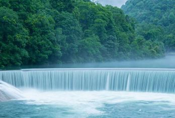 天然氧吧桐木关一日游，感受呼吸之间的清凉感，与猴子嬉戏游玩。【品质出游】