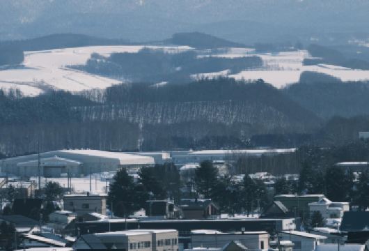 日本北海道旭川美瑛｜白须瀑布｜孤独圣诞树｜札幌往返｜中文专车【尊享一对一高端行程定制，多日豪华包车专属礼遇，专业旅行顾问24小时恭候垂询。】