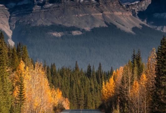 加拿大班夫小镇+硫磺山+惊喜角+强斯顿峡谷【包车/可制定】【[包车游]可制定多日】