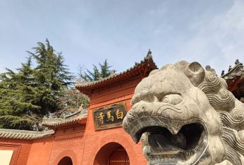 白马寺大咖讲解  深入了解佛教祖庭和释源【国庆期间多场次 选择更多】