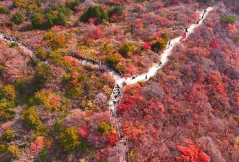 北京金海湖步道一路湖光山色-金海湖环湖休闲徒步，不进景区【徒步，家庭亲子】