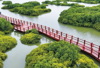 广东一日游 | 你好，湛江【包车8小时】【一单一团一车一司机，专车接送。】