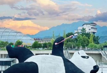 成都大熊猫繁育研究基地+都江堰一日游【可选航空座椅+纯玩团】【川椒蜀味+《李冰治水》灯影戏】