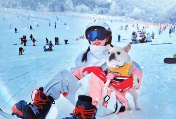 百里荒滑雪场一日游【赠滑雪5件套纯玩团宜昌东站接送本地雪场】【[温馨赠送]赠送滑雪装备5件套：雪板+雪鞋+雪仗+手套+雪帽。】