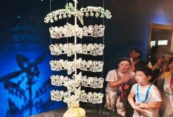 [2-8人包车接送+夜景蓝眼泪]三星堆+都江堰纯玩一日游【酒店上门接送+当地专业司导+服务质量保障+纯玩无购物】