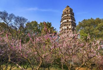 苏州+虎丘+寒山寺/导游/中文/英文/俄语/行程可定制F【全程中文/英文/俄语/多种小语种服务，专业讲解，沟通无障碍，景点可调。】