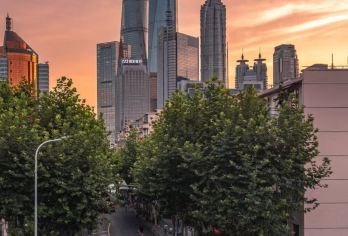 上海定制包车游 | 可定制 | 专业司机|翻译|导游|地陪|【行程自由，避免拥堵】