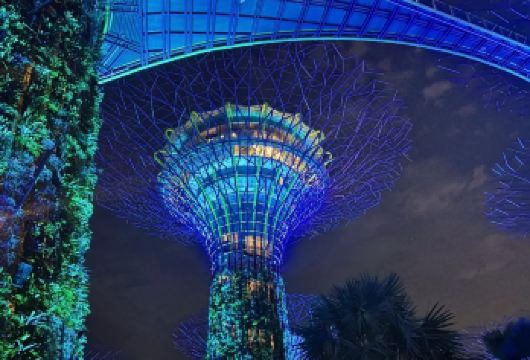 新加坡市区包车一日游-打卡各种网红景点-可多日包车【包车一日游，解锁旅行新方式！独立车辆配备经验丰富的老司机，为您量身打造专属行程。】