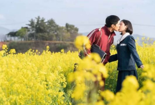 韩国济州岛南线一日游【邮轮专属-西归浦港出发｜精品小团出行】【上门接送｜中文服务｜南线：山茶花之丘｜柱状节理带｜西归浦每日偶来市场｜行程自由】