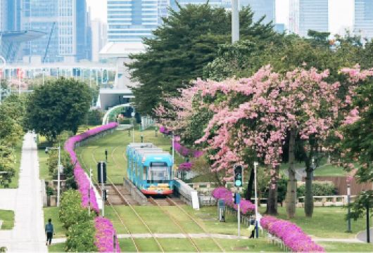 广州经典一日游|有轨电车+陈家祠+白云山【私家小团上门接送】【私家旅行：一单一团，不拼客，专属旅行； 品质服务：5/7座小车上门接送，专职司机护航】