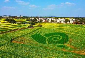 南京周边游：高淳国际慢城【远离市区 拥抱诗意生活】【全程包车 专属服务】