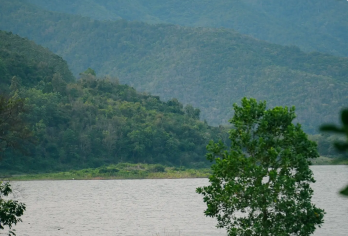 海南儋洲往返霸王岭国家森林公园+洪水村+昌化江畔包车1日游【品质出游】