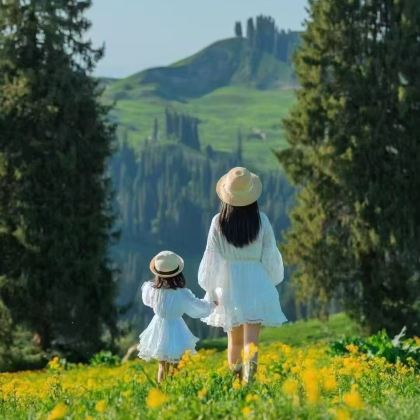  绿野、甜点与故事房～桃园童趣亲子一日游