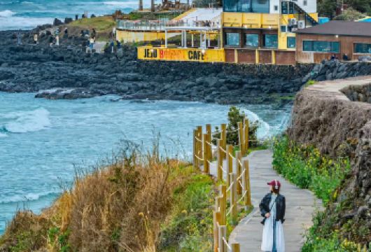 济州岛一日游｜邮轮靠岸上岛专线｜6-14人团｜西归浦港出发【上门接送｜中文服务｜无购物纯玩｜当地专业团队｜熟悉济州岛玩法｜多年经验｜赏油茶花｜赏樱花｜冬季赏雪】
