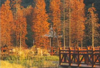 中国广州+从化温泉旅游区+石门国家森林公园包车一日游【上门接送，行程自由 安心畅游 行程松弛自由可调c】