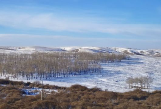 辉腾锡勒+乌兰哈达【骏马迎春 · 一日游 】【[安心]拒绝购物；拒绝强制；自主发团；市区上门】