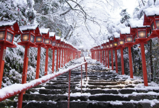 9人小团：南禅寺+贵船神社+三千院小团一日游丨含叡山电车【限定叡山电车体验，欣赏京都自然风光。】
