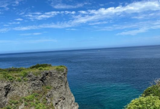 【MSC2.24冲绳到港游】万座毛+海中公园+美国村+国际通【港口内上车，本司使用正规绿牌运营车辆，港口自由进出官方认可】