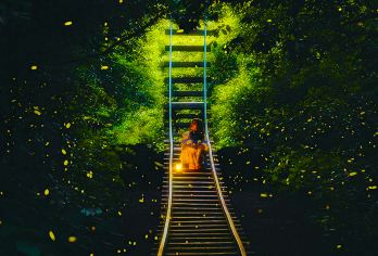 沙巴亚庇weston红树林半日游 海龟苑孟河萤河萤火虫一日游【套餐名称：是对应的红树林名称】