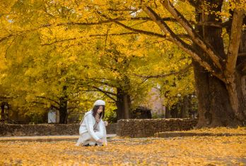 腾冲火山地质公园+银杏村+北海湿地【多套餐可选精品小团】【2-6人精致小团，私享专属旅行时光。告别拥挤喧嚣，随心调整行程节奏，每一刻都是亲密相伴的美好记忆。】