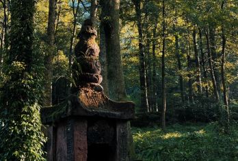 青城后山+都江堰中华大熊猫苑一日游【2-8人专车团&含门票】【[私享行程]深度探索『世界文化遗产/自然遗产』都江堰，逗趣软萌熊猫】