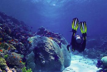 埃及红海潜水 红海出海一日游一日两项 浮潜+登岛+市区游【[一日两项]一半海水一半市区，美景和当地文化一同感受】