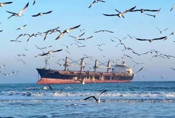 威海布鲁维斯号+那香海+天鹅湖海草房一日游【网红打卡点】【布鲁维斯号、那香海钻石沙滩、海草房网红景点一网打尽】