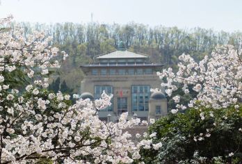 武汉大学亲子讲解私家小团 【武大，听专业讲解，2小时探秘百年学府，赏樱花大道、老斋舍，感受中西建筑之美，体验学术殿堂魅力。】