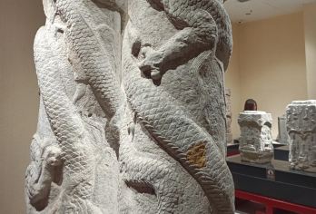 临沂博物馆半日游【精品小团+深度讲解】【[品质保障]优选商品，品质拒绝购物 、无自费】