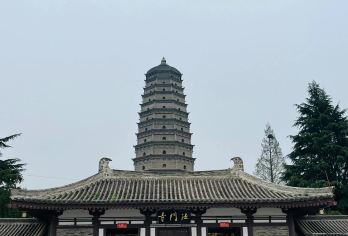 法门文化景区+乾陵一日游/佛骨圣地，两帝一陵二环内接含餐导司【西安市二环内接早，虔诚之心，祈福之行】