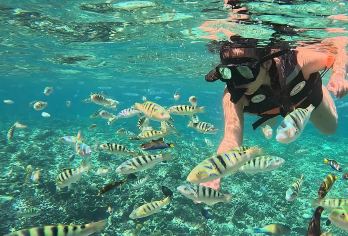 巴厘岛蓝梦岛一日游【浮潜深潜恶魔眼泪蓝梦岛环岛旅游酒店接送】【精选优质潜点，水质清澈，鱼类繁多】