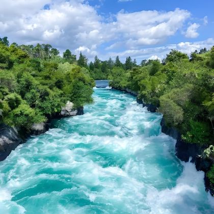北岛经典*蓝泉+地热+胡卡+陶波湖：奥克兰包车一日游不含票